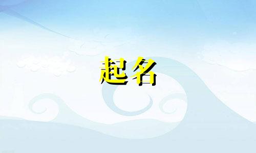 球衣代理起名公司有哪些