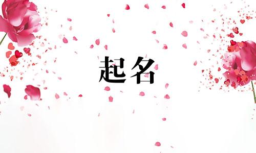 新媒介产品起名技巧有哪些