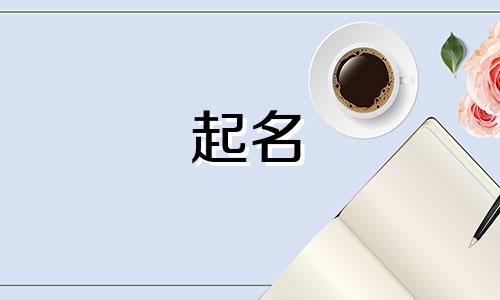 猫舍起名禁忌有哪些呢