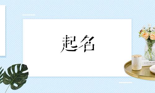 虎年起名适合的字有哪些