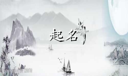 熊猫的起名规律有哪些特点