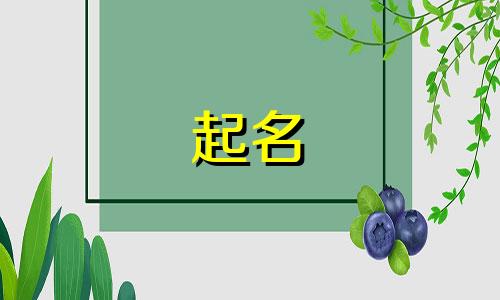 翱翔起名的历来名字有哪些