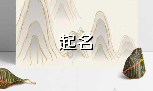 起名字专属软件有哪些