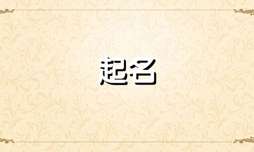 网店名字起名技巧有哪些
