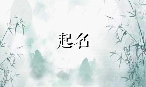 爸爸起名发生的争斗有哪些