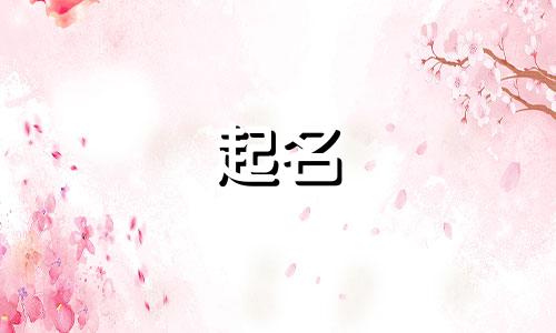 馅饼起名发财的名字有哪些
