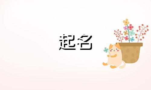 王者游戏起名小程序有哪些
