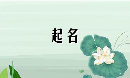 美国儿童起名网站有哪些