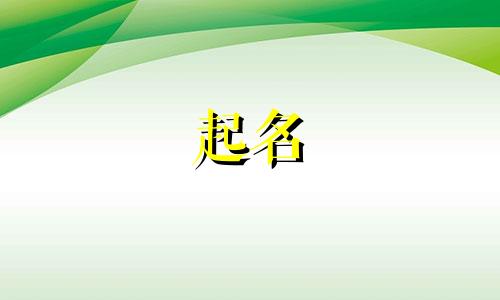 炸的寿司名字有哪些起名