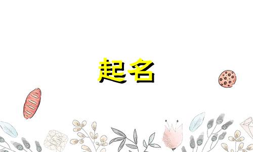 虎宝适合哪些字起名女孩