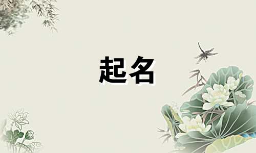 央视起名大神有哪些人呢