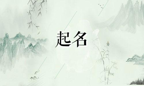 男明星起名好妈妈有哪些