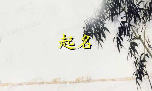 起名自己选字的软件有哪些