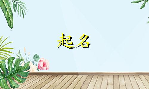 专业免费起名的网站有哪些