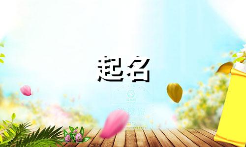 花艺作品起名大师有哪些