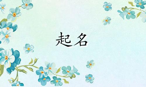 适合小狗起名的字母有哪些