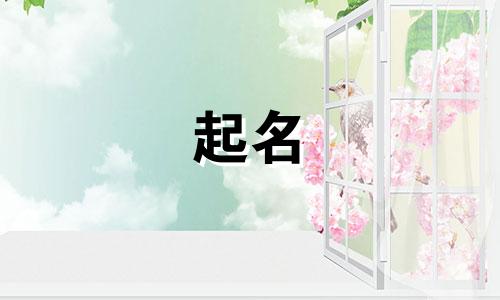 谐音英文起名小程序有哪些