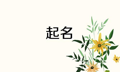 以龙起名的菜系有哪些