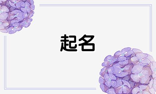 鹿起名女孩名字小名有哪些