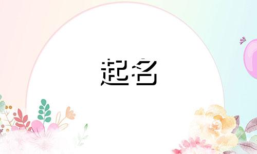 好听的鸭掌名字有哪些起名