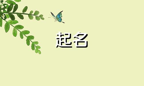 起名的部首符号有哪些字母