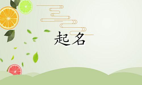 安字起名有哪些字体好听