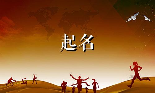 小猫起名勇敢的名字有哪些