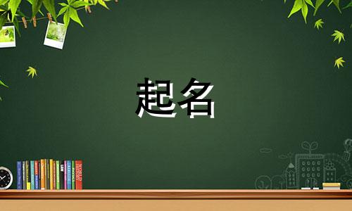 上海人工起名平台有哪些