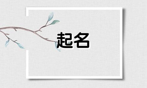商品起名免费网站有哪些