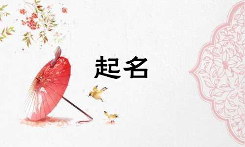 中国正版起名宝典有哪些网站