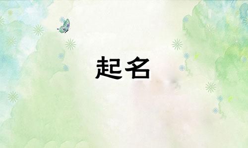 女子会起名用字有哪些名字