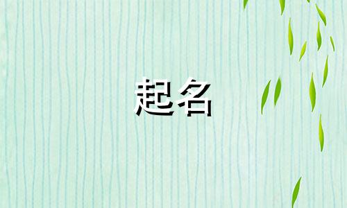 给宠物起名叠词有哪些名字