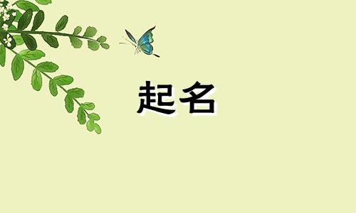 起名几何的名字有哪些女孩