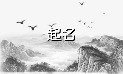不想起名的刺客有哪些