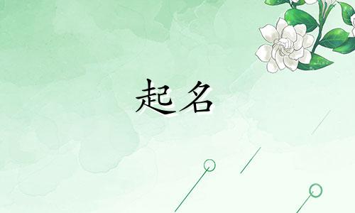 由粉丝起名的歌有哪些
