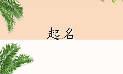 属鸡的人起名应该用哪些字