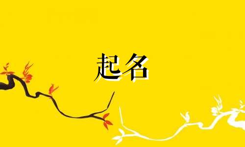 公司起名带木字旁有哪些