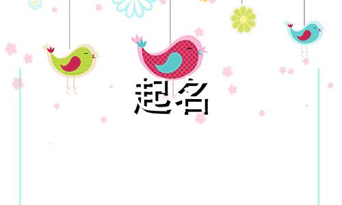 公司起名小程序有哪些类型