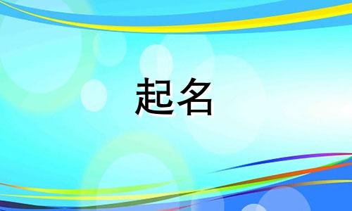 公司起名模型有哪些软件