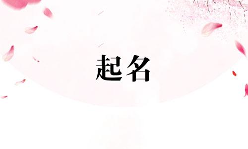 张宝贝起名女孩小名有哪些
