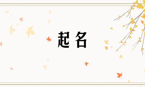 起名的历史典故有哪些名字