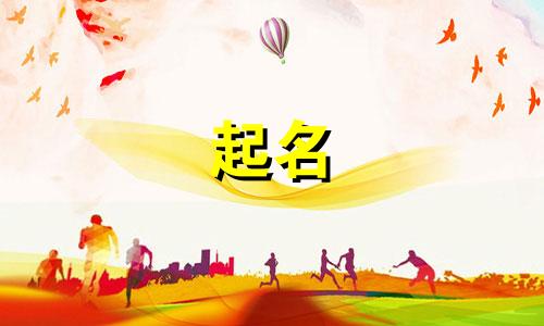 新闻软件起名字有哪些