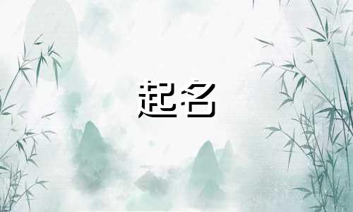 关于鱼的食物起名有哪些