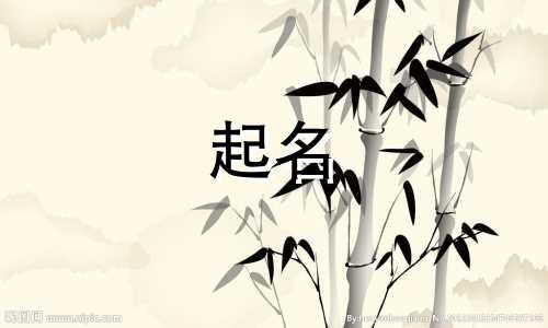 搞笑的成语起名有哪些字