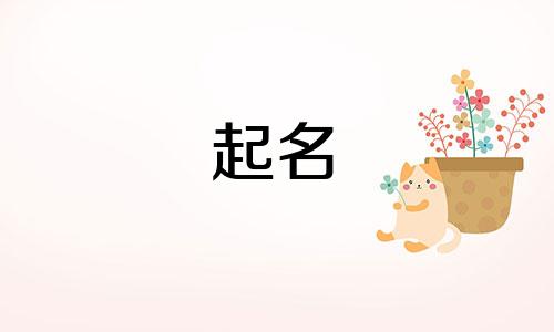 橱窗起名技巧和方法有哪些