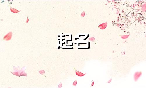 小狗起名复古的名字有哪些