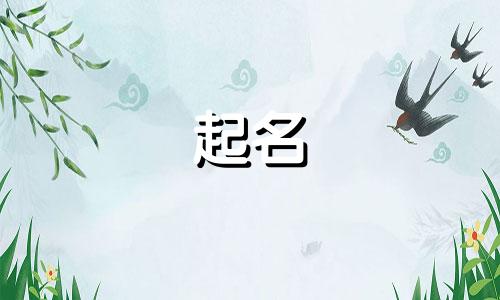 品牌起名误区有哪些呢英文