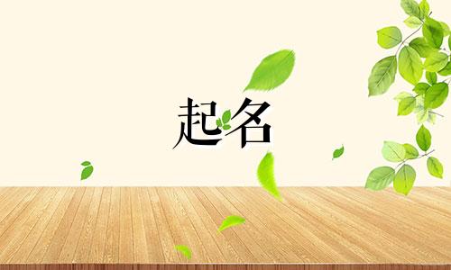 人工起名小程序软件有哪些