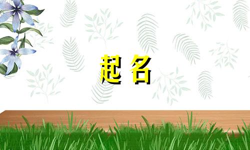 不起名的串串有哪些品种