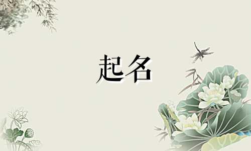 美容院起名都用哪些字